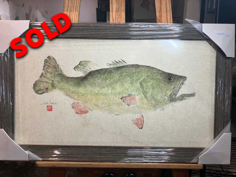 Largemouth-Bass