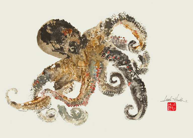 Octopus #611