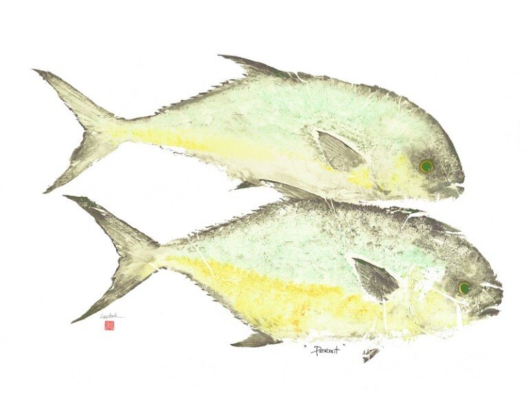 #467 Double Permit