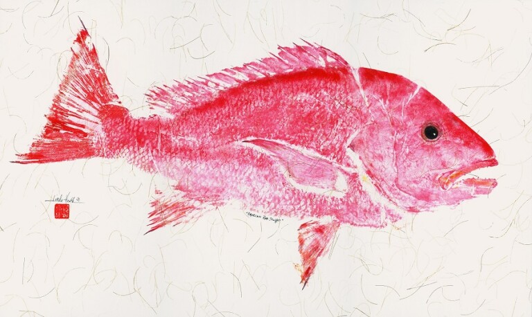 #636 American Red Snapper