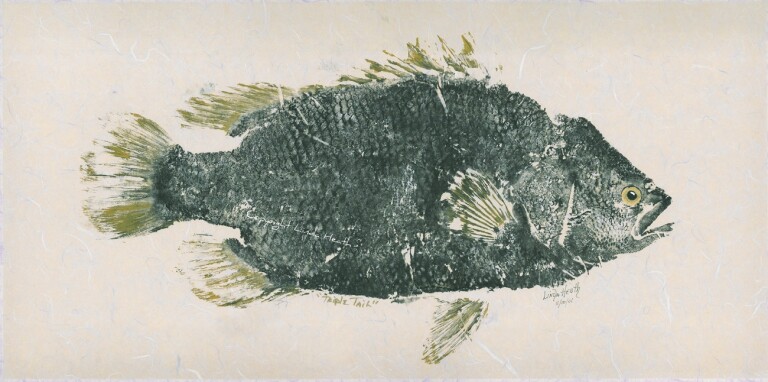 # 420 Tripletail