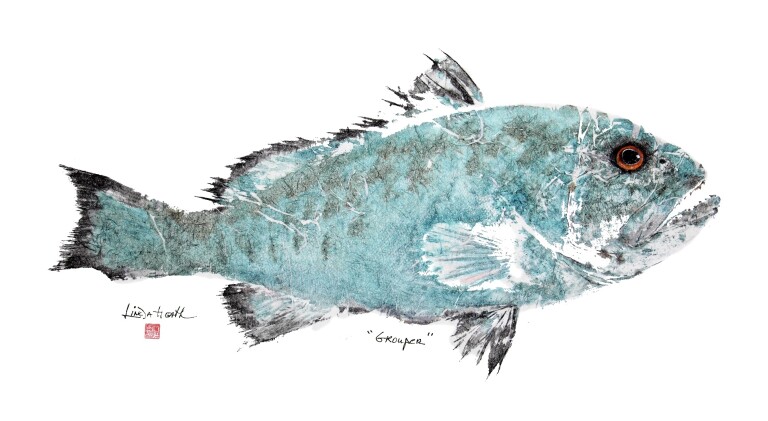 # 443 Blue Grouper