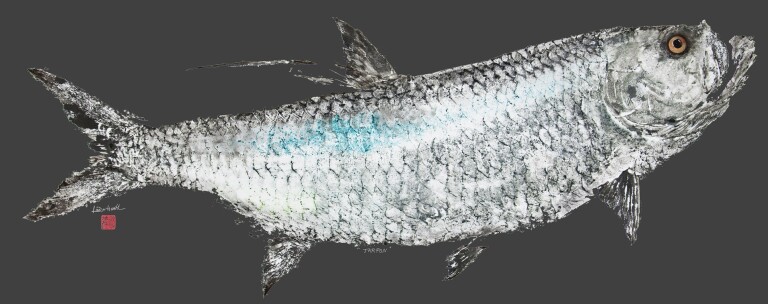 # 701 Tarpon