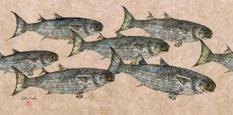 # 616 School of Mullet